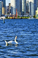 Image showing Toronto waterfront