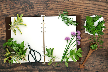 Image showing Preparation of Organic Herbs for Food Seasoning