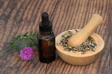 Image showing Milkthistle Herb Use to Treat Liver Disorders