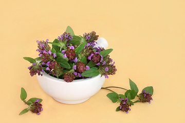 Image showing Self Heal Herb for Natural Alternative Herbal Remedies