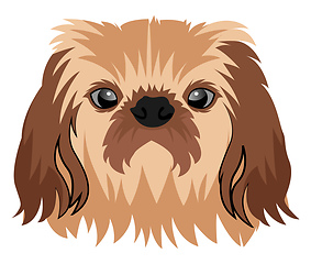 Image showing Pekingese illustration vector on white background