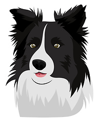 Image showing Border Collie illustration vector on white background