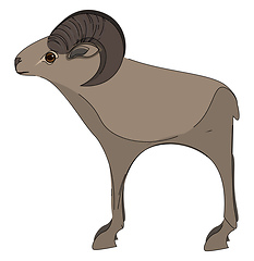 Image showing A tall mouflon vector or color illustration