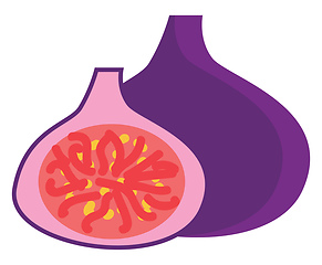 Image showing Purple fig vector illustration 