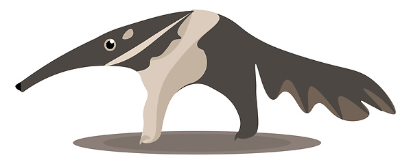 Image showing An extant Anteater vector or color illustration