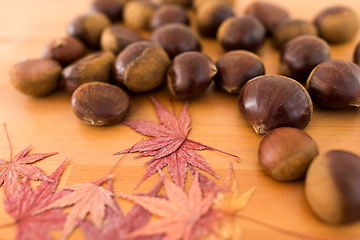 Image showing Maple tree and chestnut