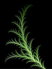 Image showing Green 3D rendered fern