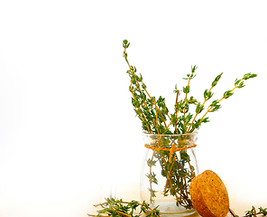 Image showing fresh thyme on a glass jar