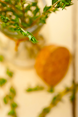 Image showing fresh thyme on a glass jar