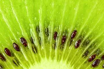 Image showing fresh green kiwi macro