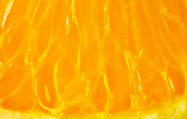 Image showing orange pulp macro