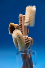 Image showing different natural cleaning brushes in glass jar