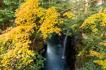 Image showing Takachiho gorge at Miyazaki in autumn