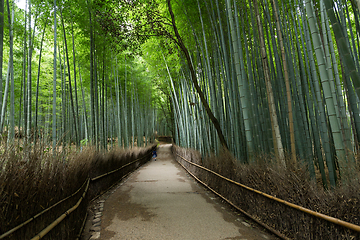 Image showing Arashiyama in Kyoto