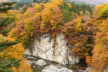 Image showing Autumn landscape in kinugawa