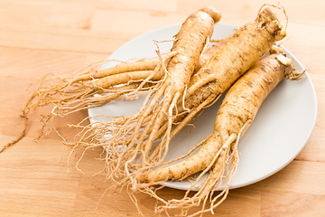 Image showing Korean Ginseng on plate