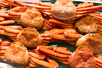 Image showing Snow crabs 