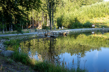 Image showing pond in the summer forest