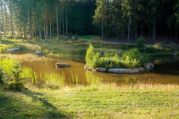 Image showing pond in the summer forest