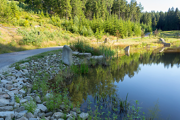 Image showing pond in the summer forest