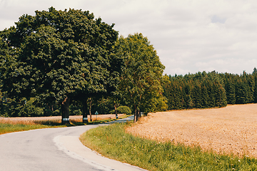 Image showing road on Beautiful spring rural landscape