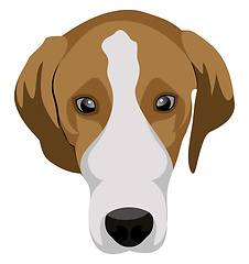 Image showing Beagle illustration vector on white background