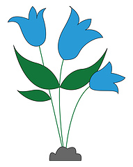 Image showing Three blue flowers 