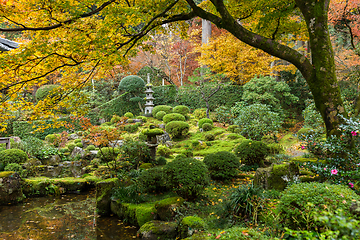 Image showing Japanese garden with maple tree