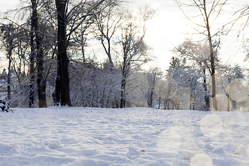 Image showing Snow drifts in winter