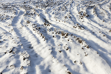 Image showing Snow drifts on the ground