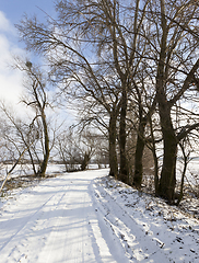 Image showing Road in winter