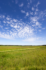 Image showing spring landscape