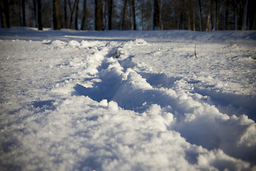 Image showing After snowfall