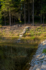 Image showing pond in the summer forest