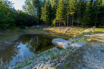 Image showing pond in the summer forest