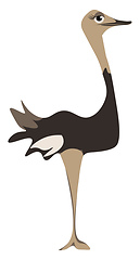 Image showing A tall ostrich vector or color illustration