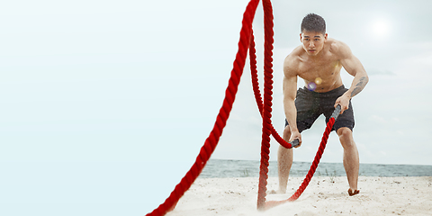 Image showing Young healthy man athlete doing exercise at the beach with ropes, flyer with copyspace