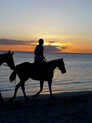 Image showing Horses on the beach