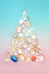 Image showing Abstract Sea Shell Christmas Tree Concept