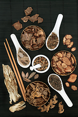 Image showing Chinese Plant Based Herbs and Spice for Natural  Healthcare