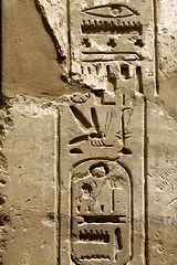 Image showing Ancient egyptian hieroglyphs in the Karnak Temple