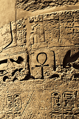 Image showing Ancient egyptian hieroglyphs in the Karnak Temple in Luxor