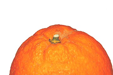 Image showing Orange