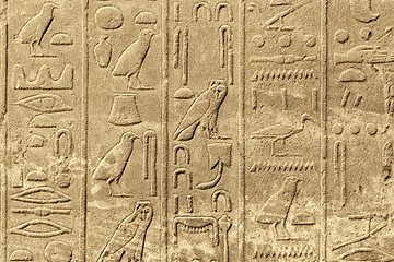 Image showing Ancient egyptian hieroglyphs carved on the stone wall