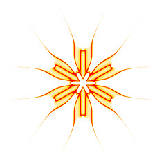 Image showing Abstract Orange Illustrated Star