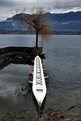 Image showing the canoe and the tree