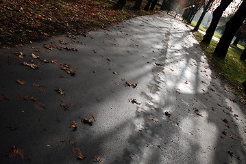 Image showing dawn in the park