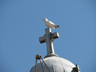 Image showing seagull on the cross of greek orthodox church