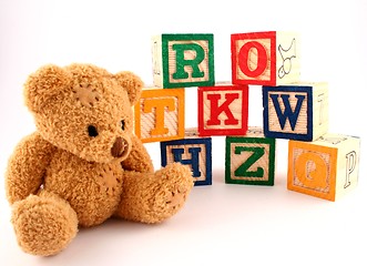 Image showing Bear and Blocks