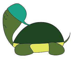 Image showing Turtle in cap vector or color illustration